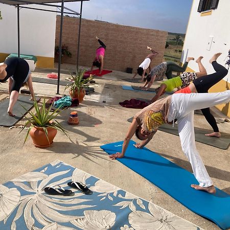 Amareleja Quinta Monte Da Azinheira Bed & Breakfast エクステリア 写真