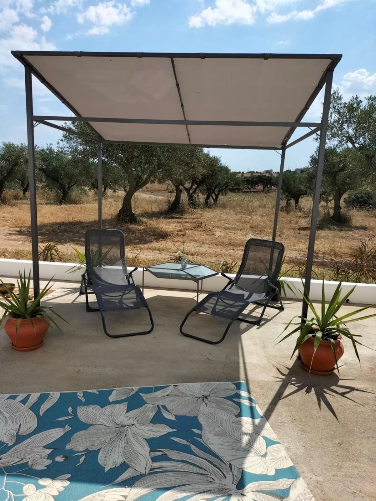 Amareleja Quinta Monte Da Azinheira Bed & Breakfast エクステリア 写真