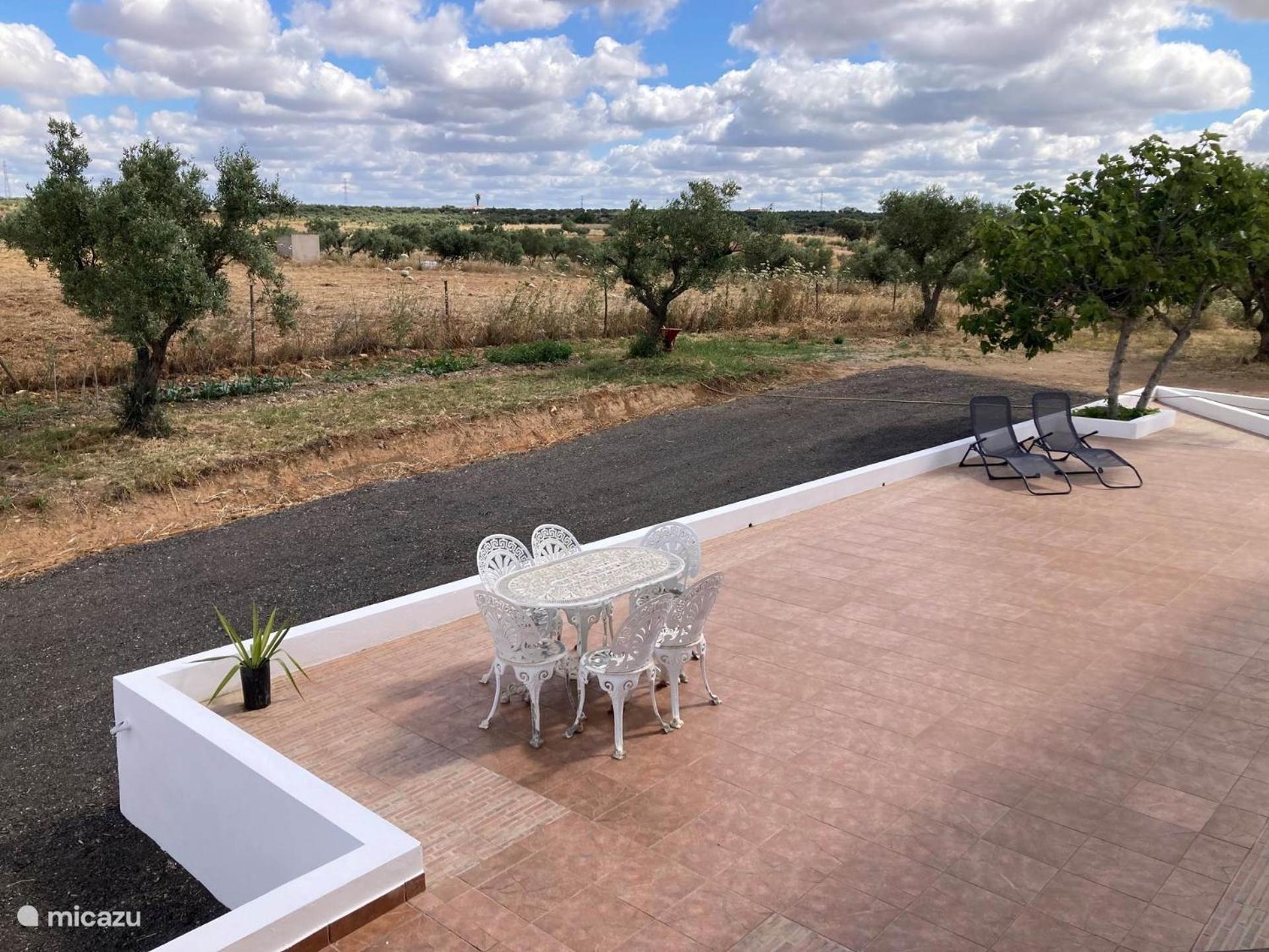 Amareleja Quinta Monte Da Azinheira Bed & Breakfast エクステリア 写真